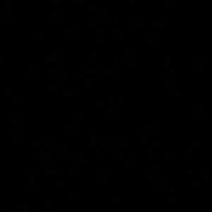 Meet your Posher, Juliana